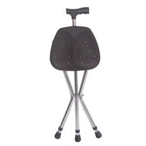 Folding Walking Stick/Seat Black