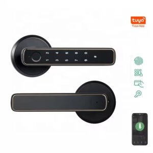 Smart Door Handle Black