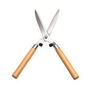 Scissor