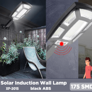 Solar Induction Wall Lamp