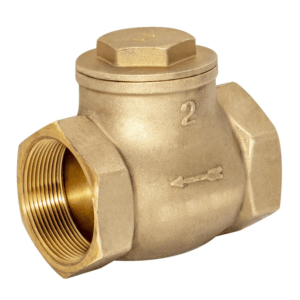 Swing Valve 2" Brass