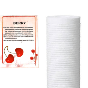 Core Berry